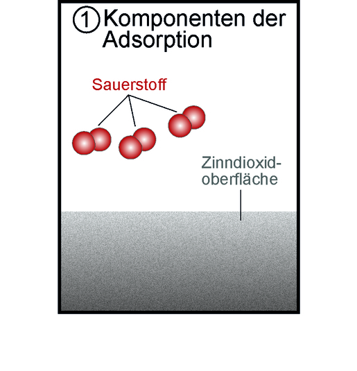 Komponenten der Adsorption Komponenten der Adsorption