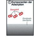 Komponenten der Adsorption